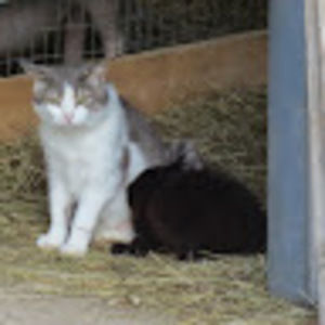 Meet your Posher, Ella